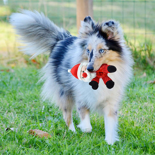 Dog playing with Santa Claus plush dog toy puzzle in grassy outdoor setting.